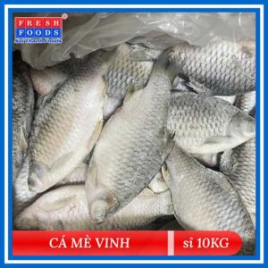 Cá Mè Vinh (Thùng 10Kg)