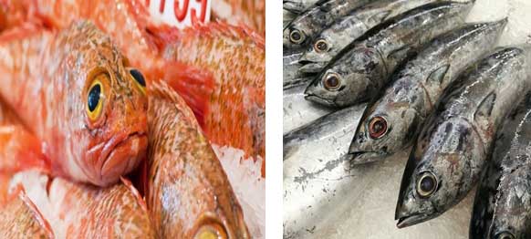 những tác hại khi ăn cá biển nhiễm độc
