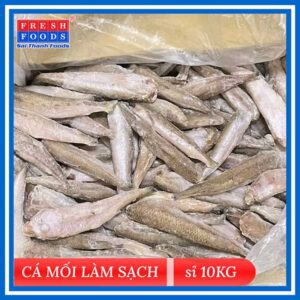 Cá Mối Làm Sạch (Thùng 10kg)