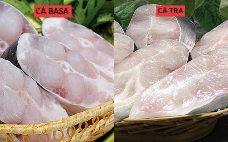 phân biệt cá tra và cá basa qua thớ thịt