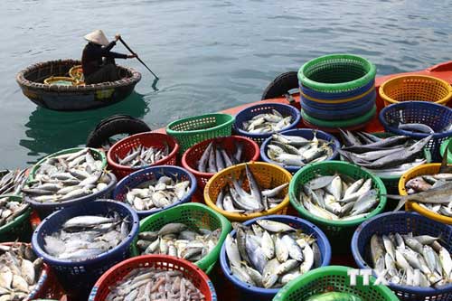 thủy sản và hải sản khác nhau như thế nào