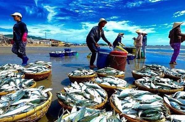 seafood exports from VietNam 2023