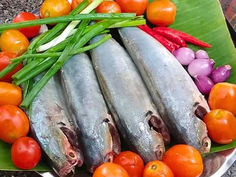 Nguyên liệu nấu món cá ngân sốt cà